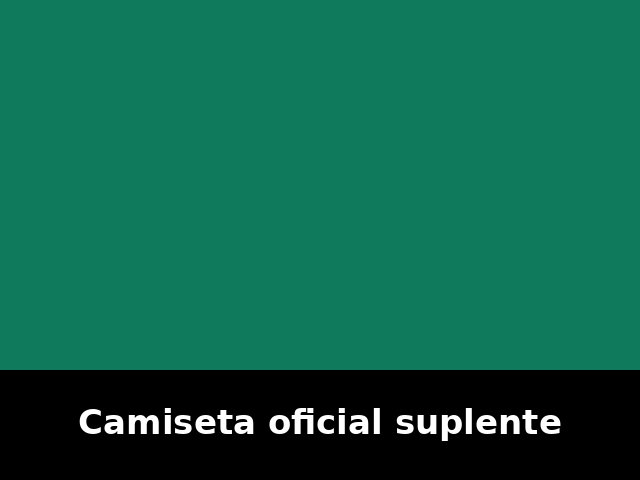 Camiseta oficial suplente