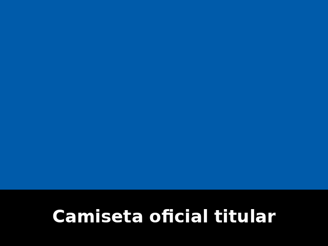 Camiseta oficial titular