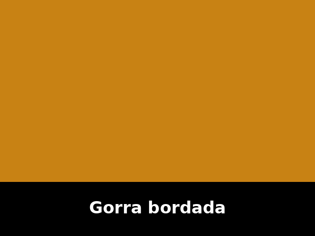 Gorra bordada
