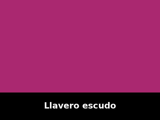 Llavero escudo